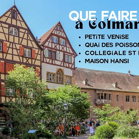 L'authentique Bleuet D'alsace *