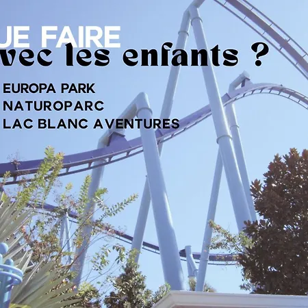 Appartement L'authentique Bleuet D'alsace