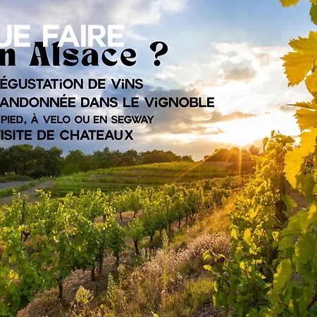 Appartement L'authentique Bleuet D'alsace *